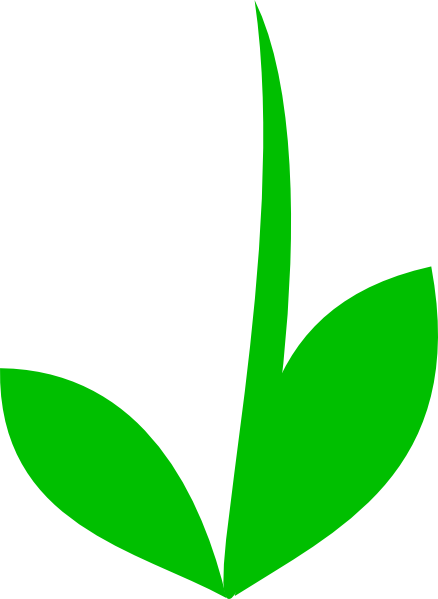 Grass Clip Art - Flower Stem Template (438x599)