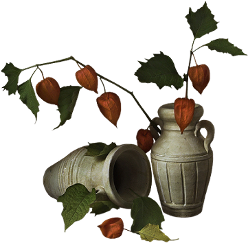 Automne - Flower (405x394)