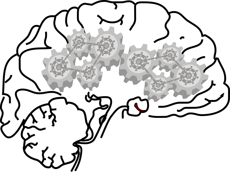 Brain (1002x750)