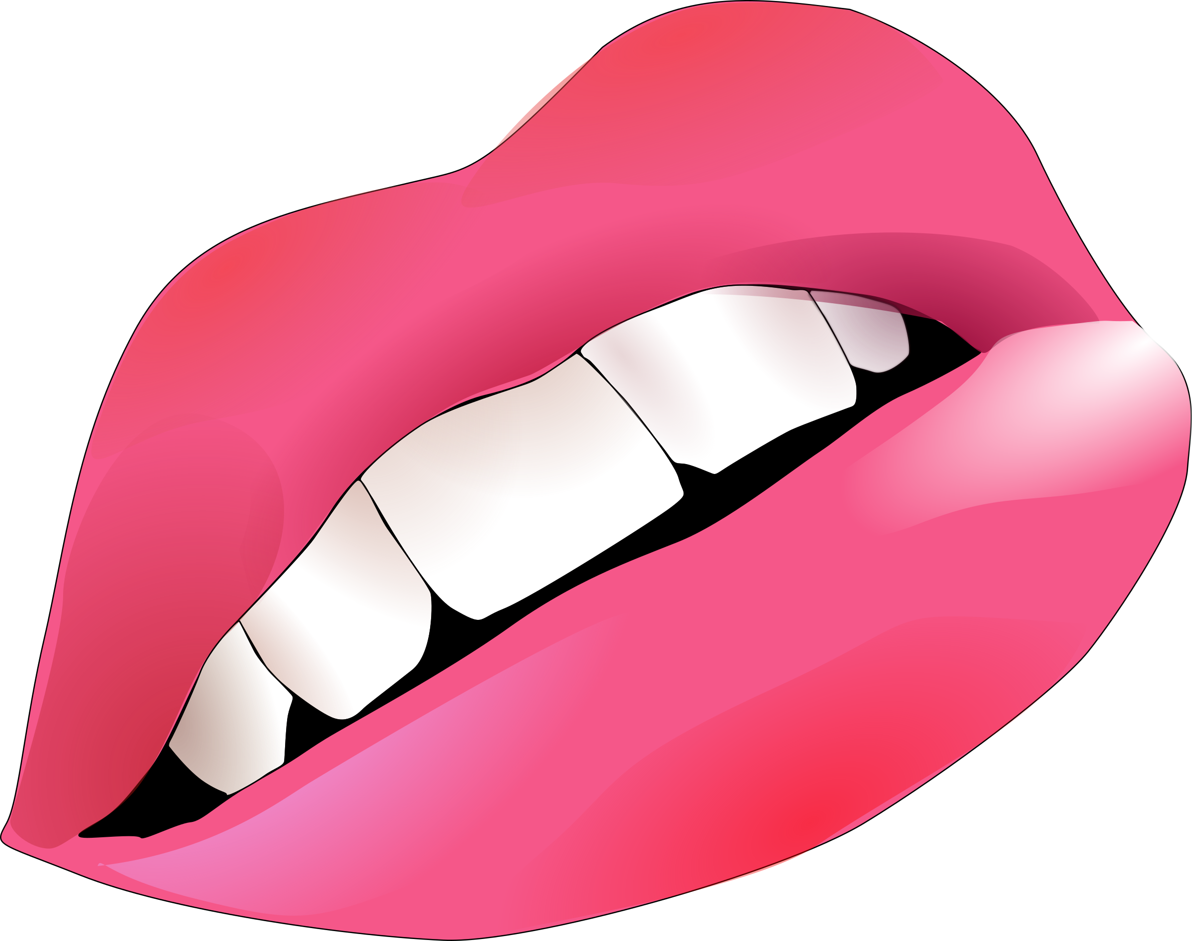 Big Image - Pink Lips 60" Curtains (2400x1896)