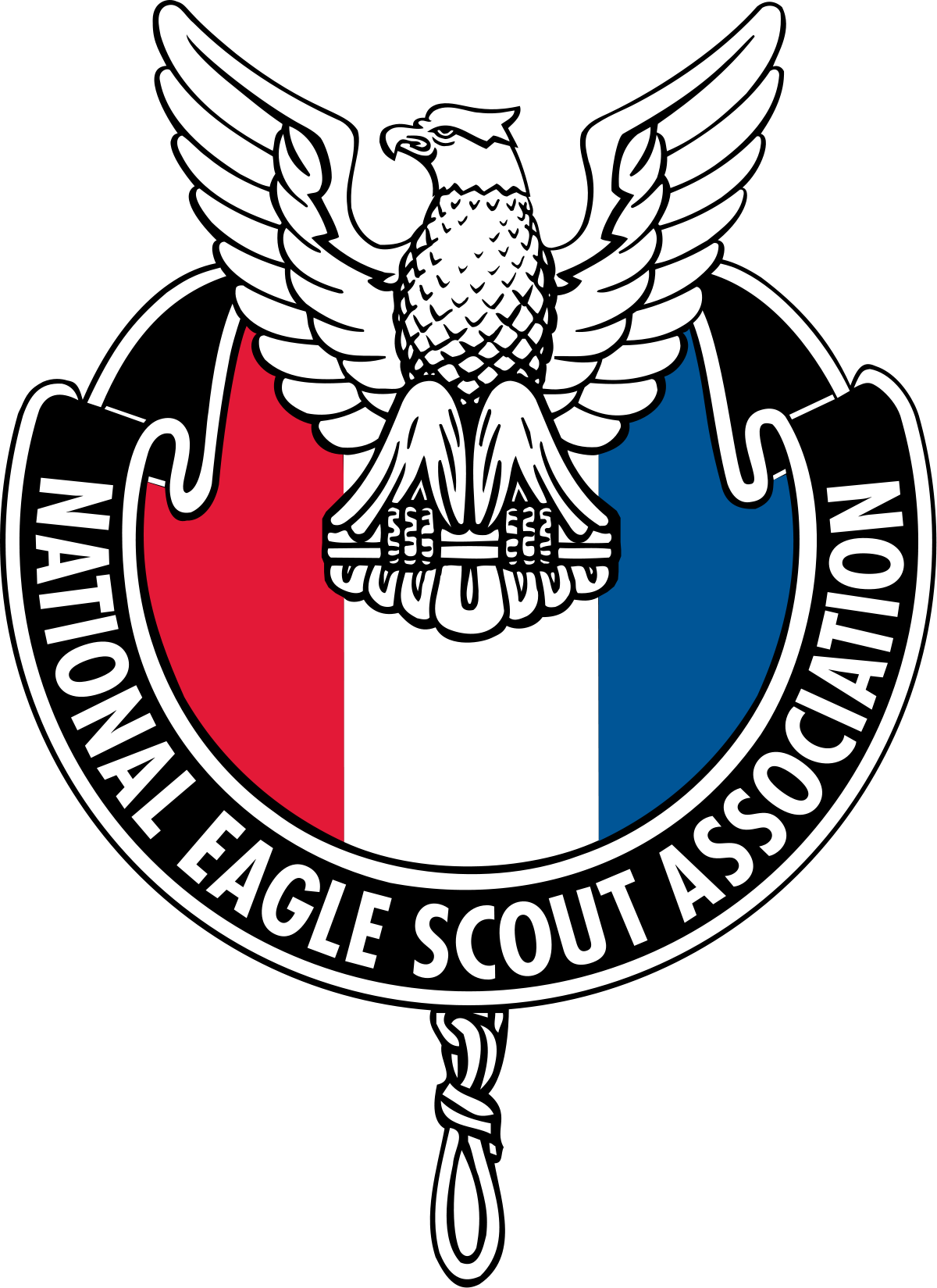 National Eagle Scout Association - National Eagle Scout Association Logo (1200x1649)