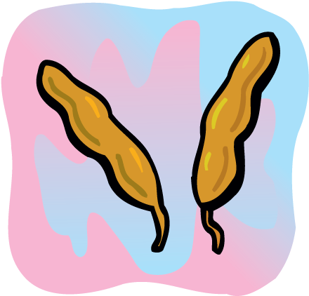 Ingredients-tamarind - Tamarind (440x422)