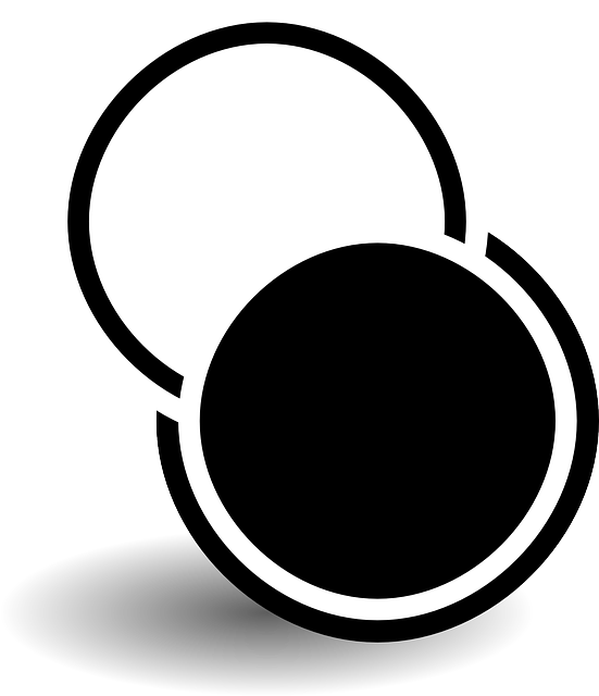 Stylish Circle Png (551x640)