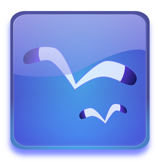 Computer, User, Blue, Button, Gui, Sky, Birds - Aqua Button (621x640)