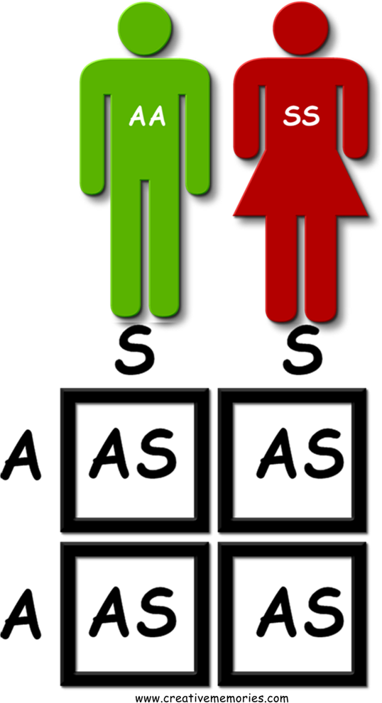 Or - Or (538x991)