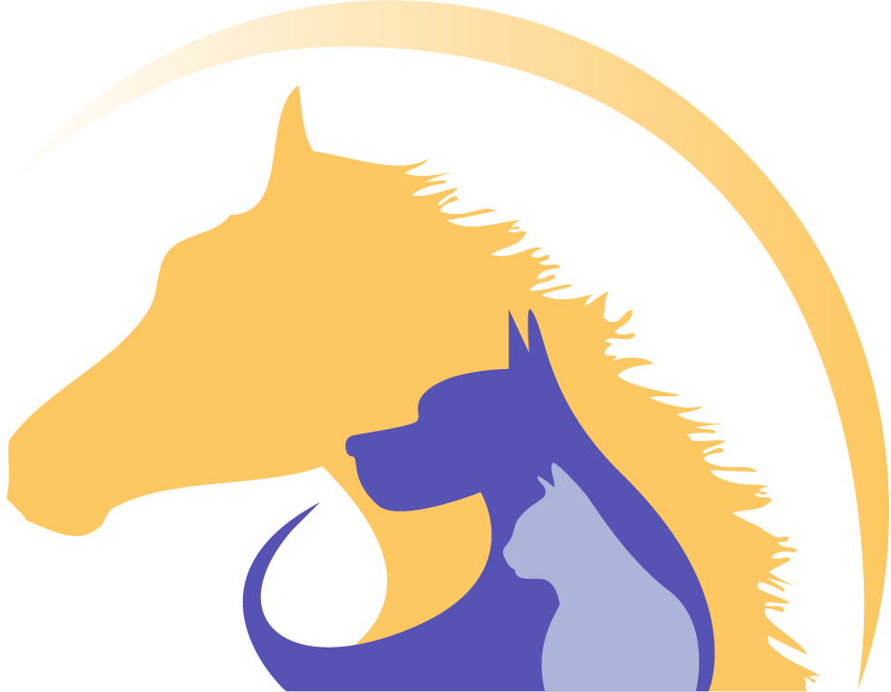 Pet (983x763)