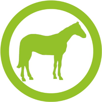 Horse (700x700)