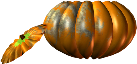 Lymnaeidae (500x261)