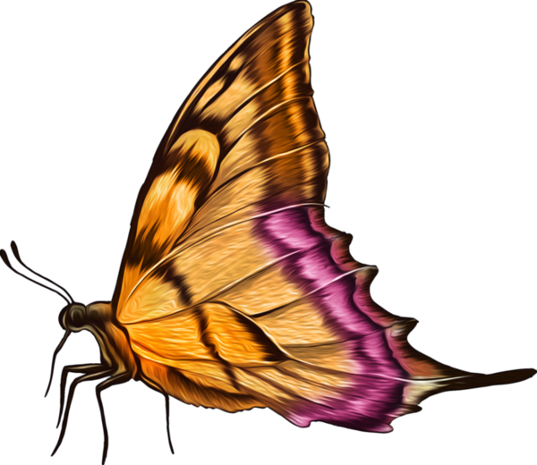 Papillons - Thewatsonshop Butterfly Burlap Throw Pillow Color: (600x520)