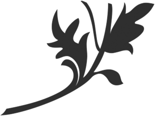Leaf Motif Png (500x376)