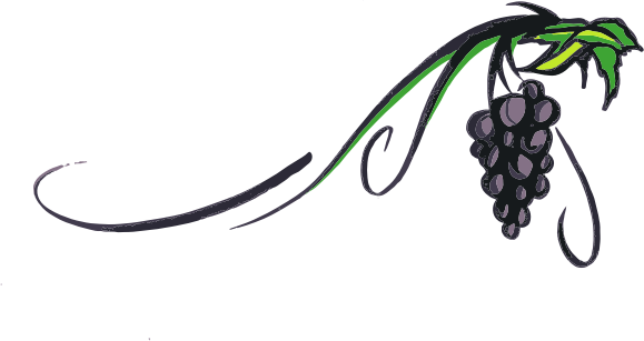 Medium Image - Grape Vine Clip Art (579x307)