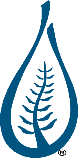 Nicaragua Clip Art (272x551)