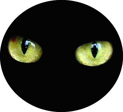   Cat's Eye (418x383)