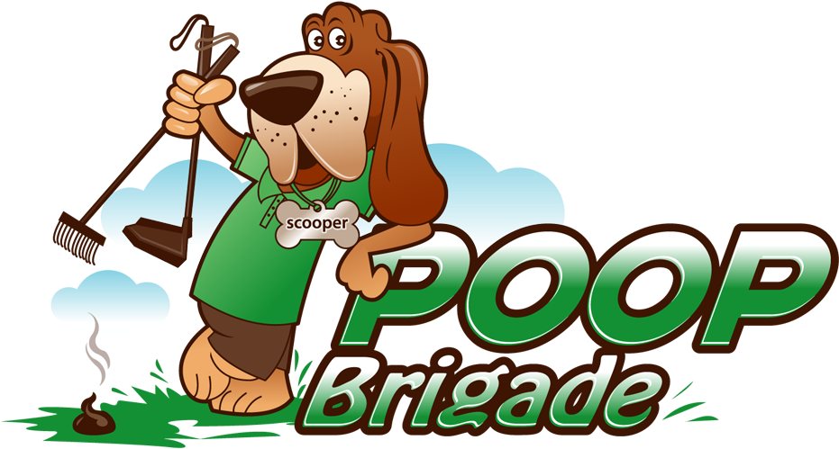 Dog (1000x559)