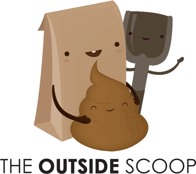 Paper Bag (1200x1200)