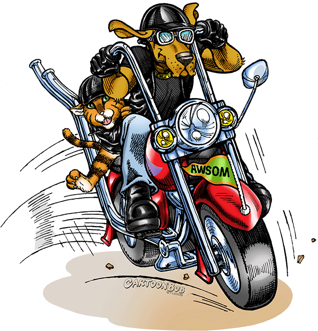 "cartoonbob Studios Was Great Handling The Changing - Chopper (648x689)