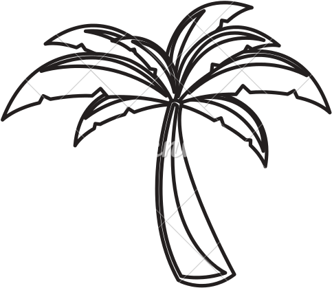 Palm Tree - Monochrome (550x550)