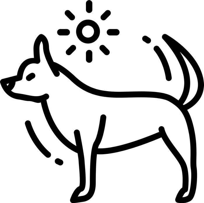 Chihuahua Rubber Stamp - Postage Stamp (700x695)