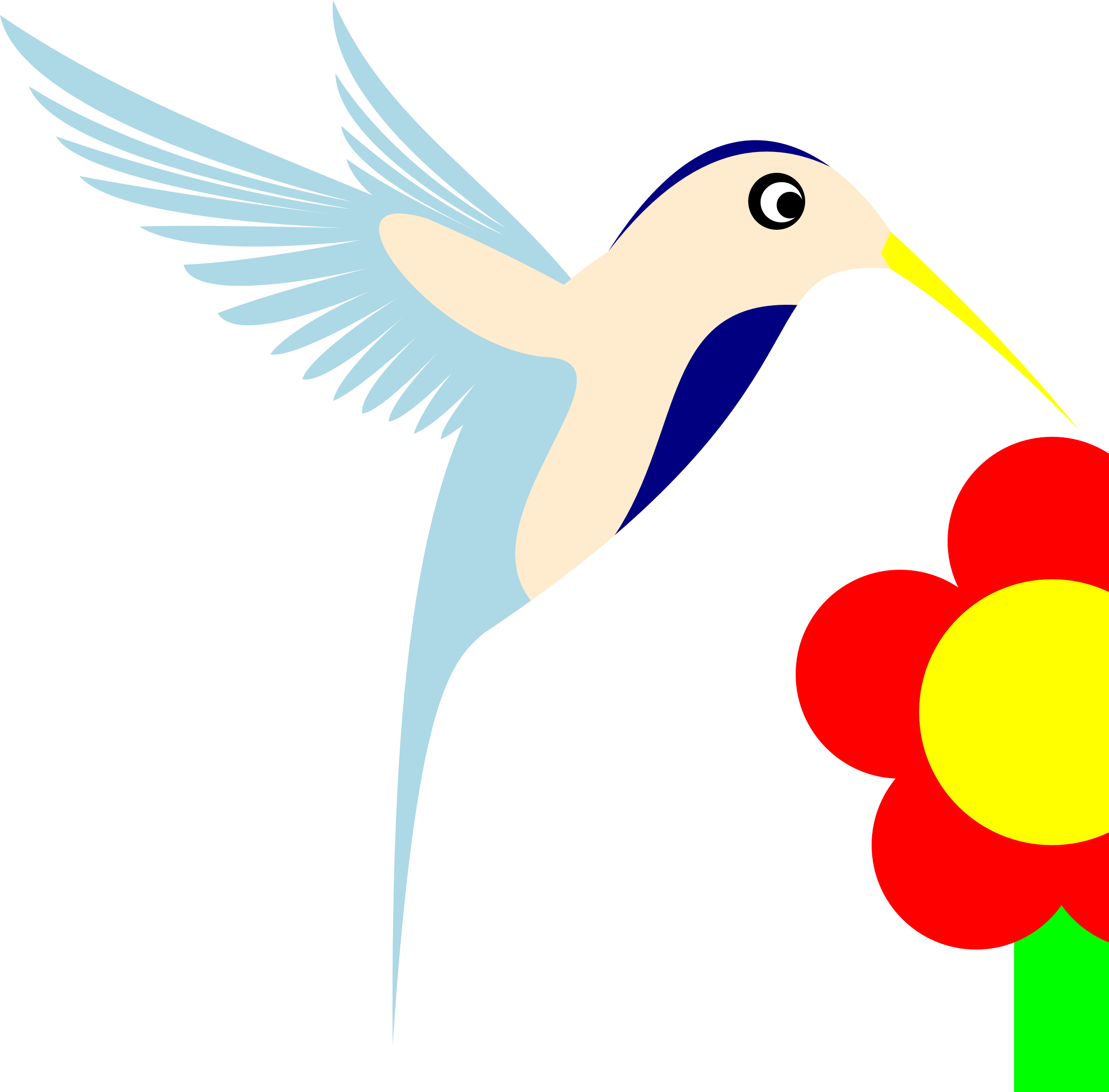 Bird - Illustration (2336x2300)