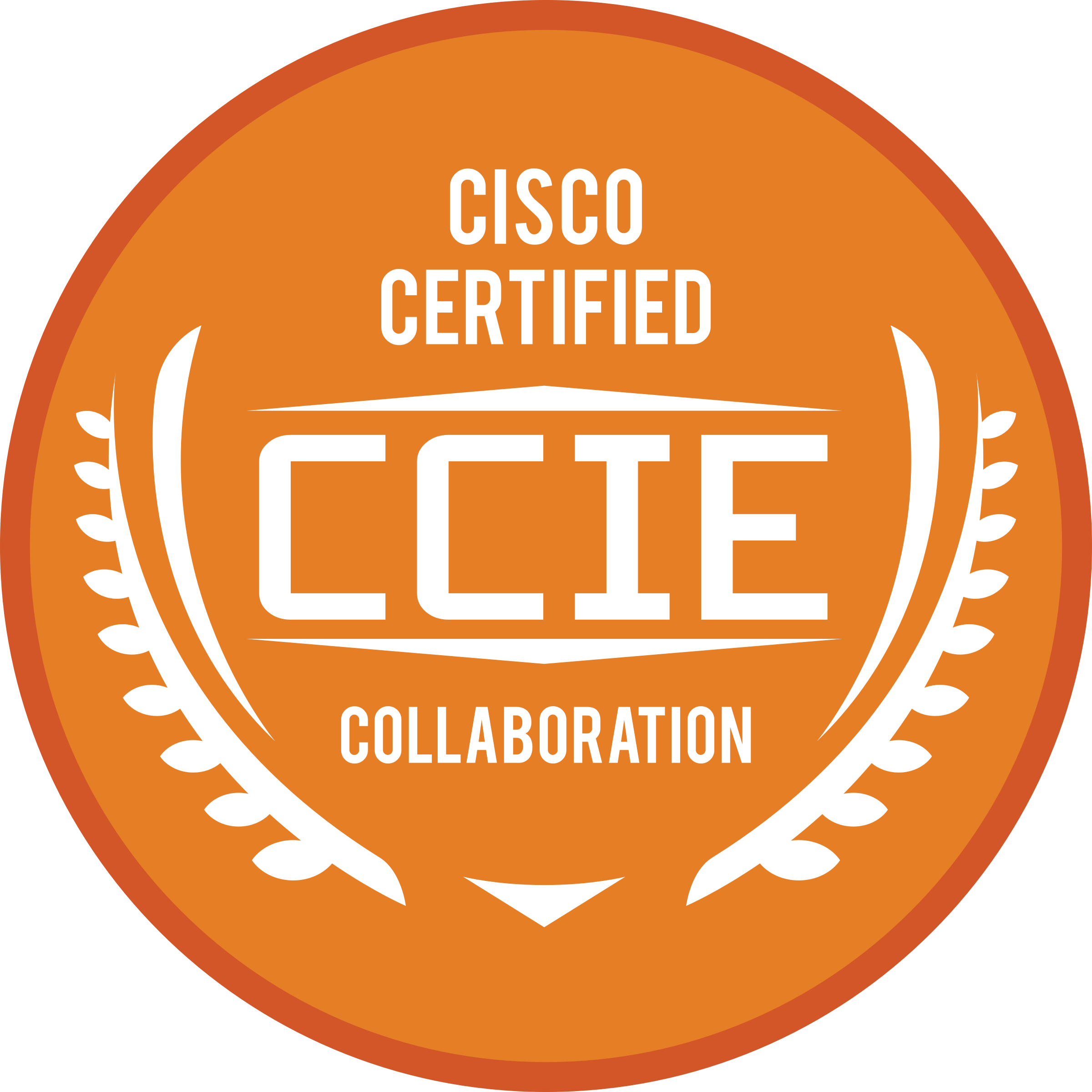 Big Image - Ccie Certification (2400x2400)