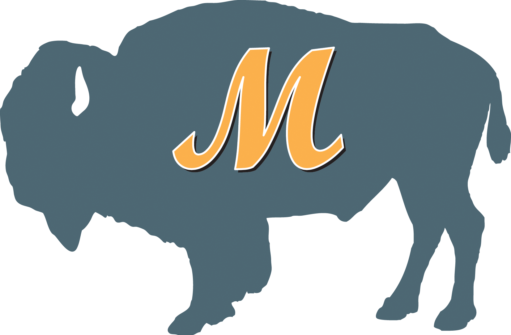 Bison Logo - Bison (1653x1084)