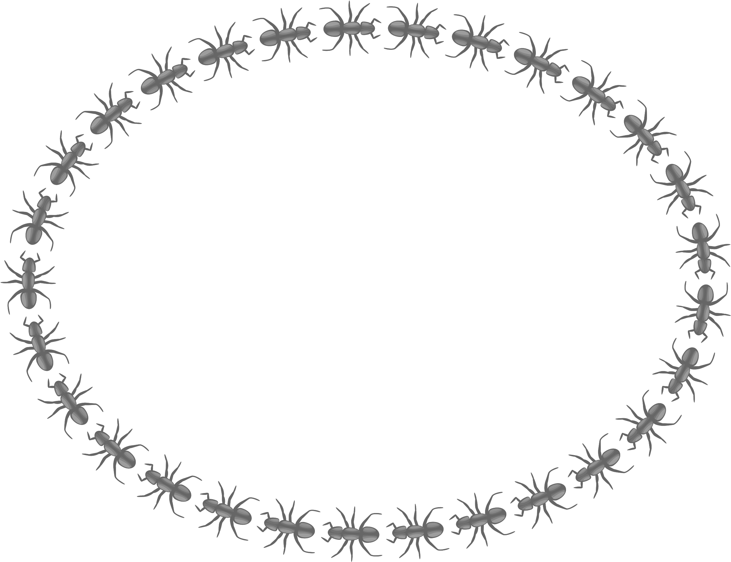 Border Oval - Icon Border Circle Png (2400x1850)