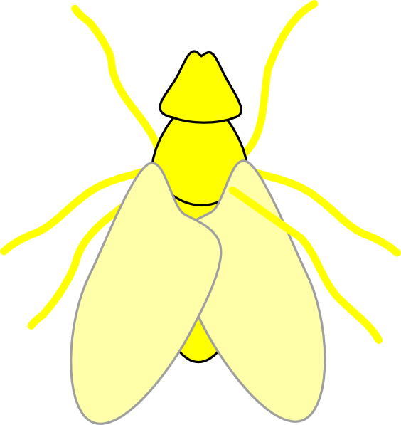Lightning Bug Clipart - Clip Art (564x597)