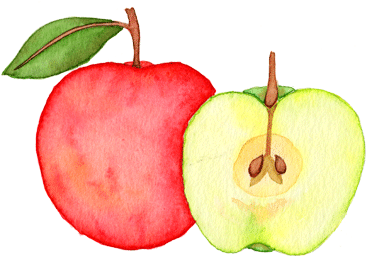 Apple - Apple (533x425)