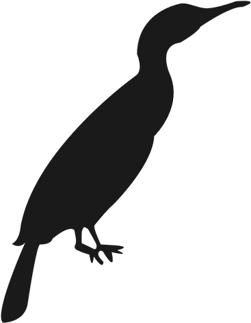 Duck Silhouette - Silhouette (512x512)