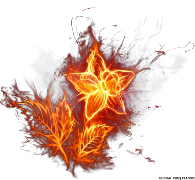 Fire Flower Psd - Transparent Fire Flower (400x370)