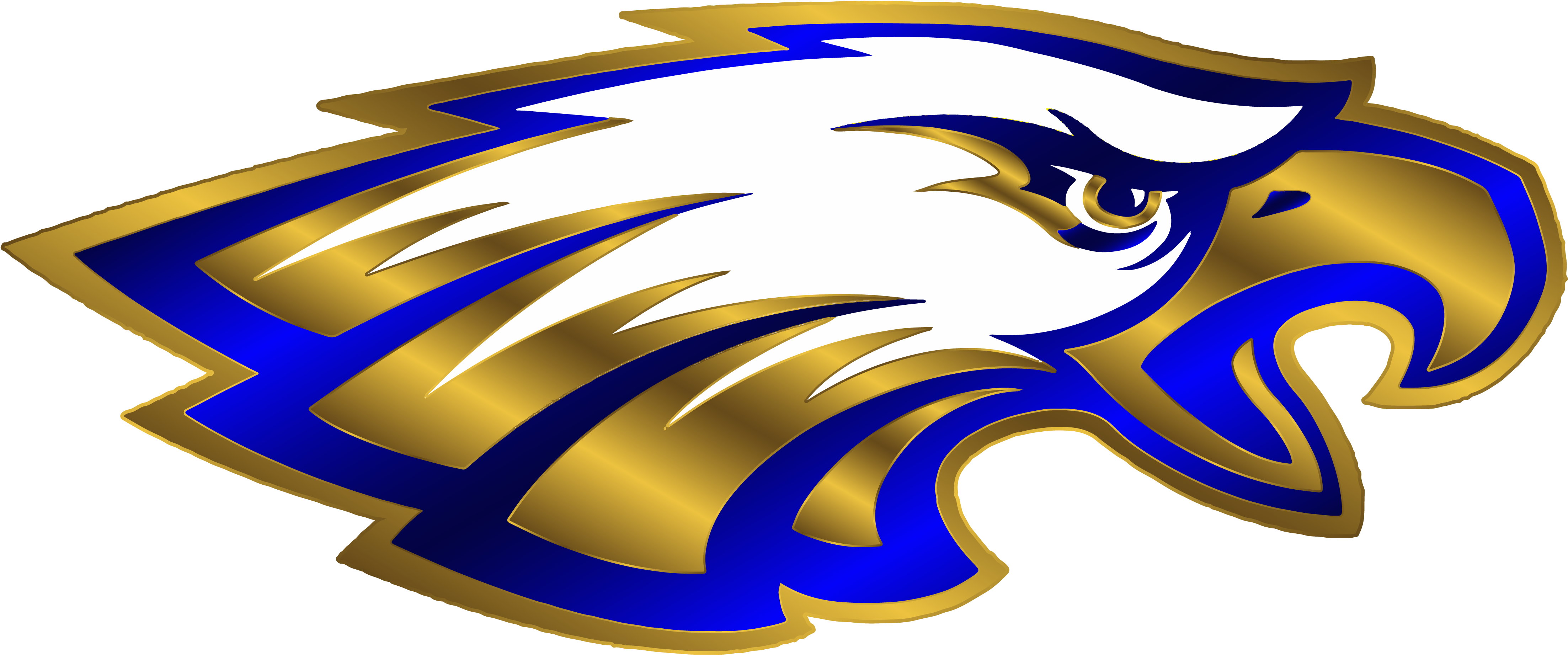Broomfield High School Logo (4597x1972)
