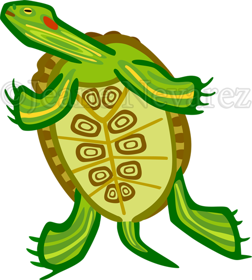 Turtle Belly - Turtle (520x577)