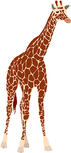 Mb Image/png - Giraffe Free Vector (250x500)