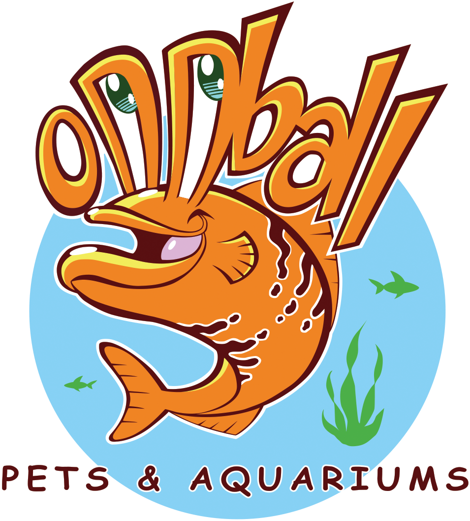 Oddball Pets And Aquariums (1057x1057)