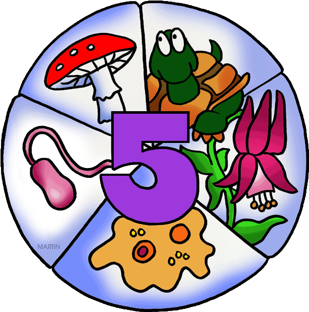 Five Kingdoms - 5 Kingdom Classification Clipart (638x648)