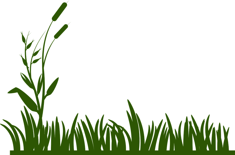 Swamp Clipart Spring - Rumput Vector (960x634)