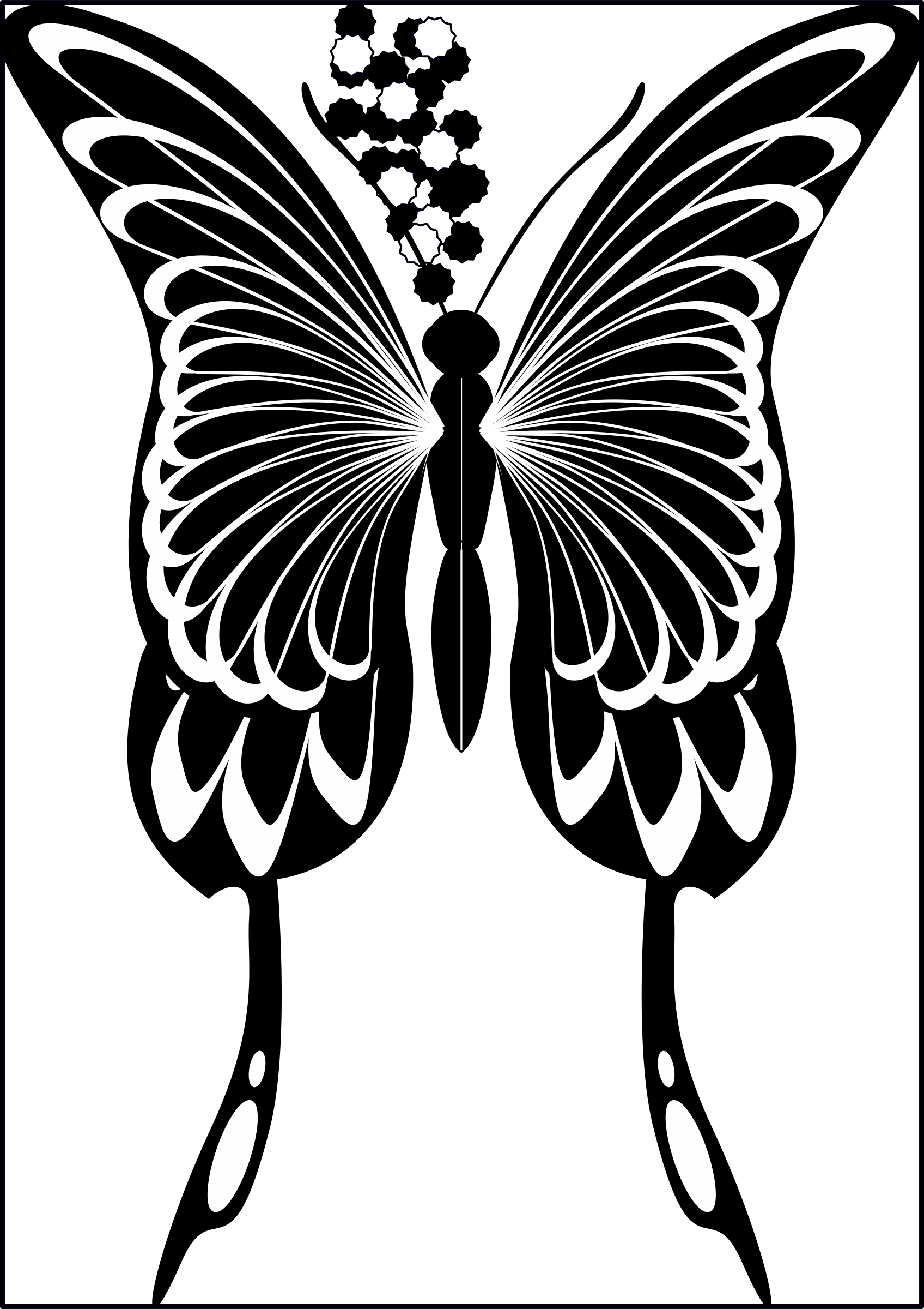 Big Image - Swallowtail Butterfly (1696x2400)