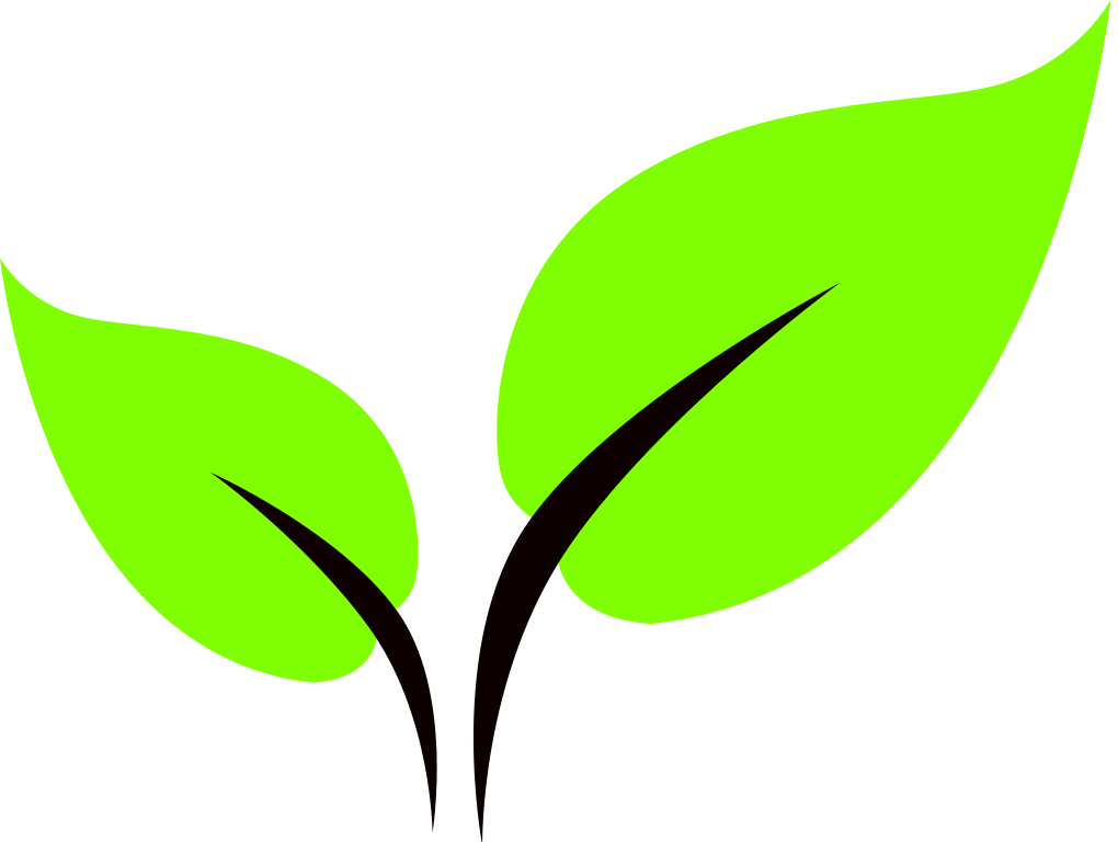 Leaf Icon - Leaf Icon Png (1020x768)