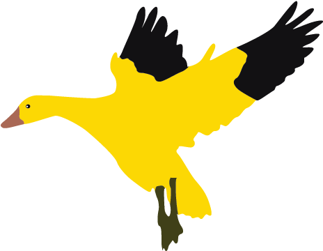 Funny Goose Clipart - Duck (508x508)