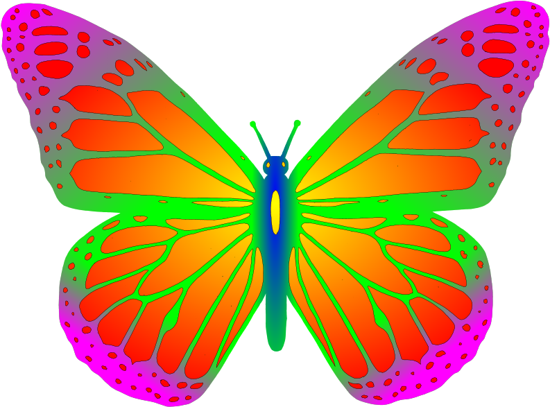 Medium Image - Papilio Machaon (800x596)