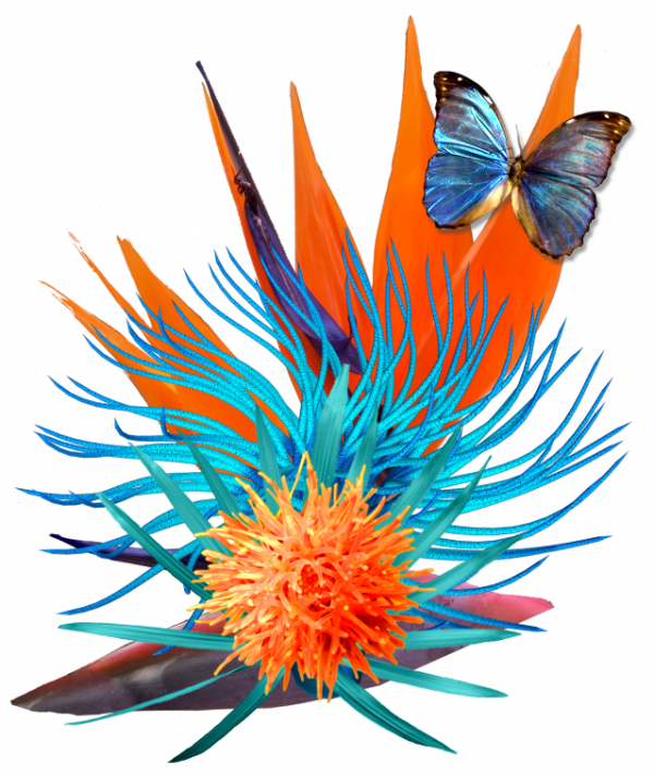 Blue Butterflies - Diary (600x710)