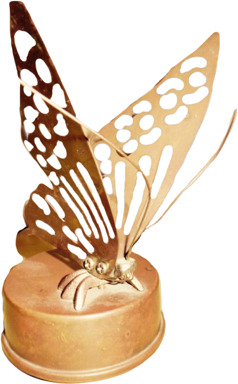 Brush-footed Butterfly (918x1483)