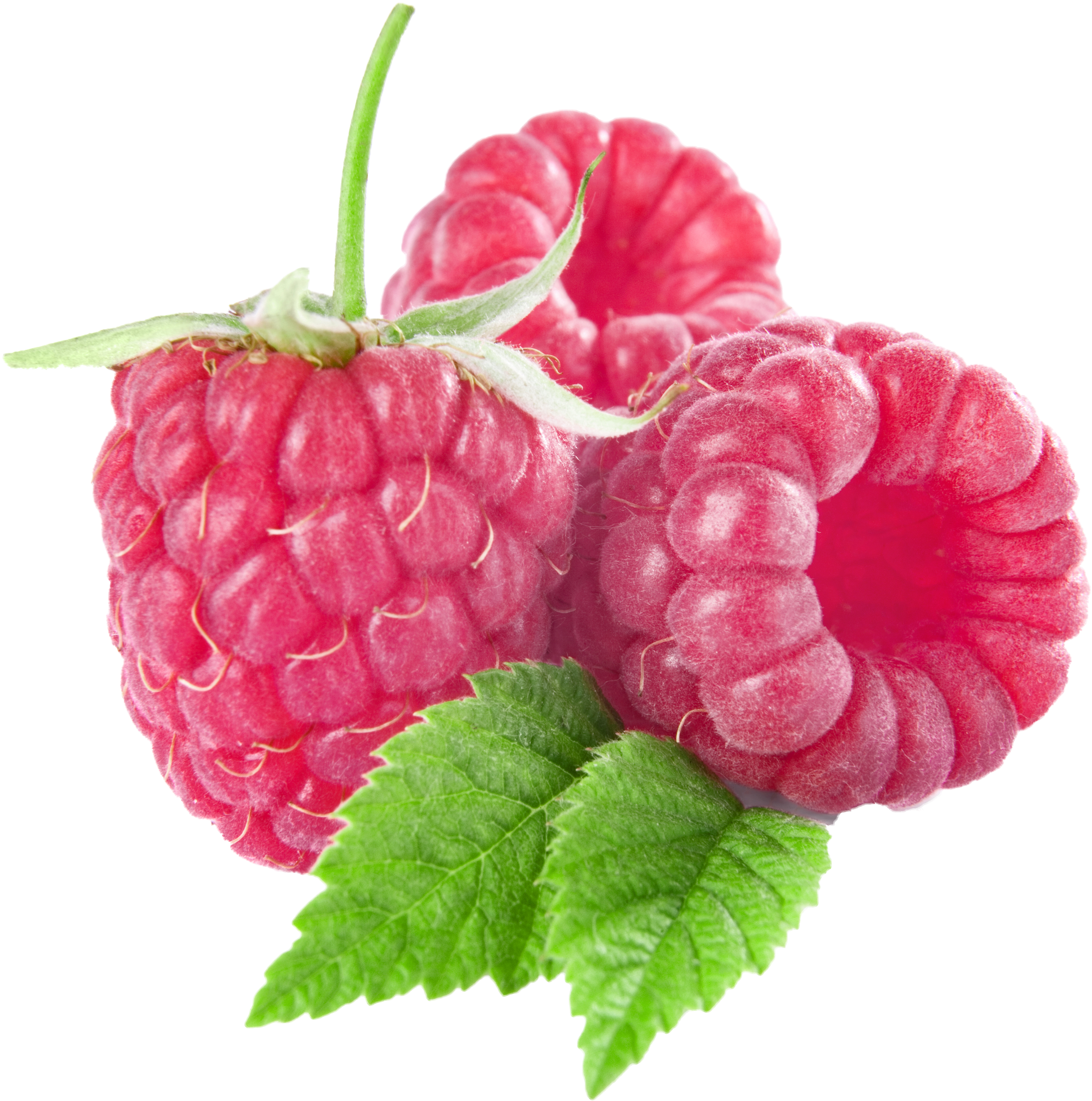 Raspberry Clipart Boysenberry - Raspberry Clipart Transparent (2500x2507)