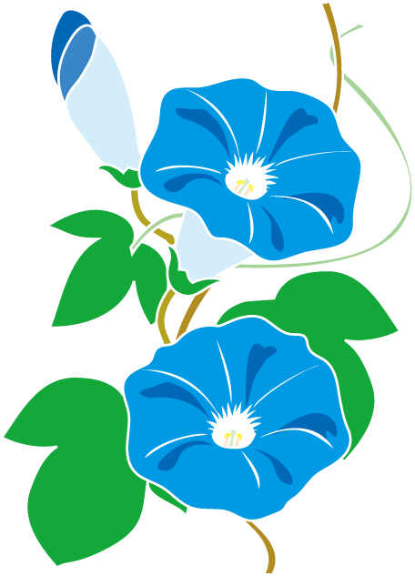 Clip Art - イラスト 朝顔 (456x633)