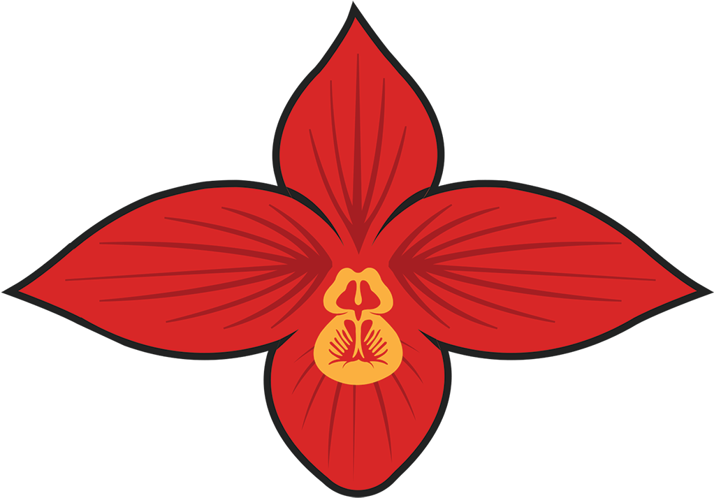 Orchids (1024x1024)