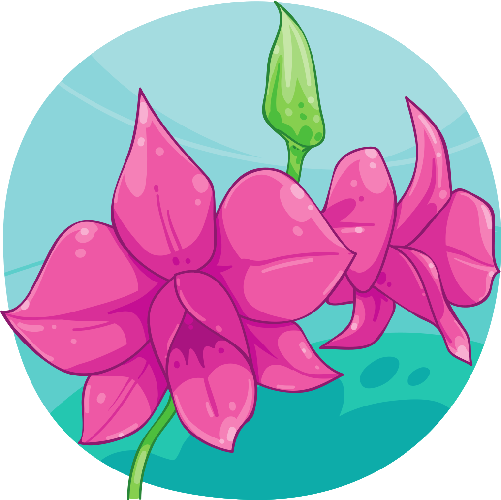 Cooktown Orchid - Tulip (1024x1024)