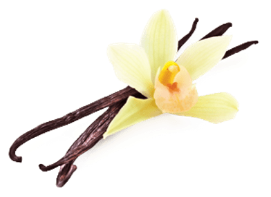 Vanilla Flower Beans - Свеча Ароматизированная Sima-land Ваниль, Цвет: Горчичный, (400x400)