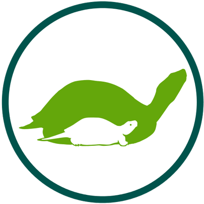 Theturtleroom - Driver's Education (400x400)