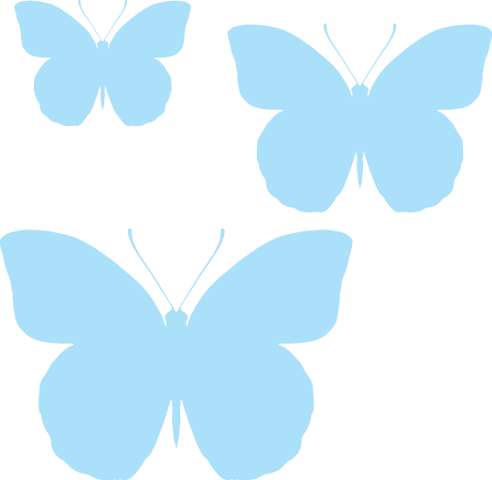 Butterflies - Coloured - Butterfly (538x525)