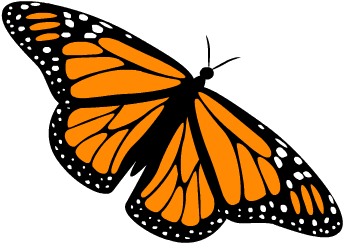 Анимации Бабочек - Monarch Butterfly (400x400)